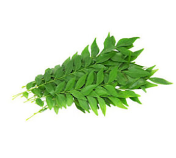 Curry leaves 1 Bunch