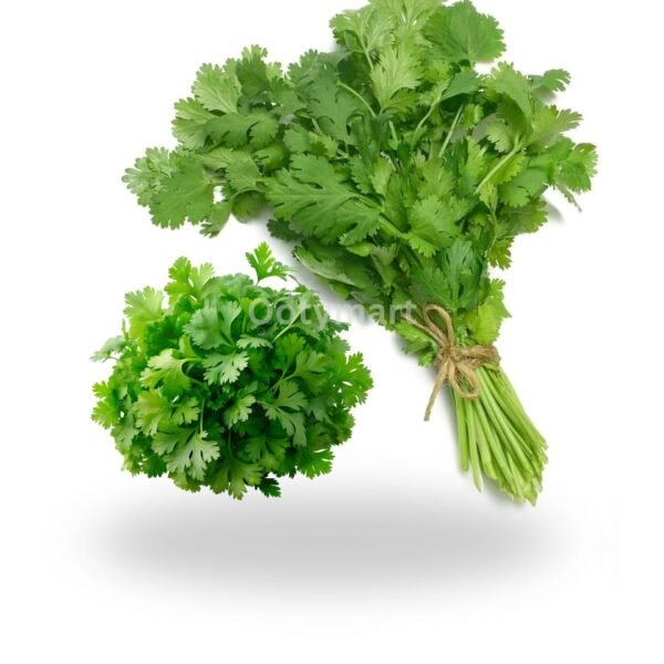 Coriander Leaves (Kothamalli) 1 bunch