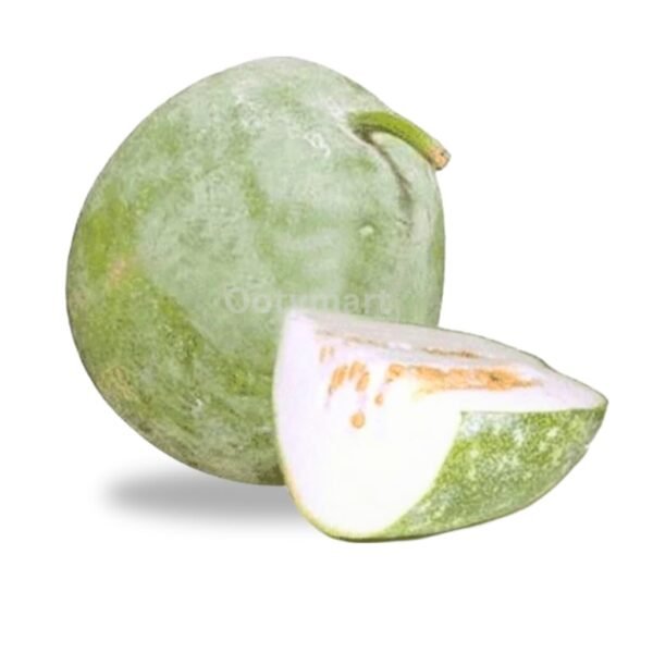 White Pumpkin 1 piece