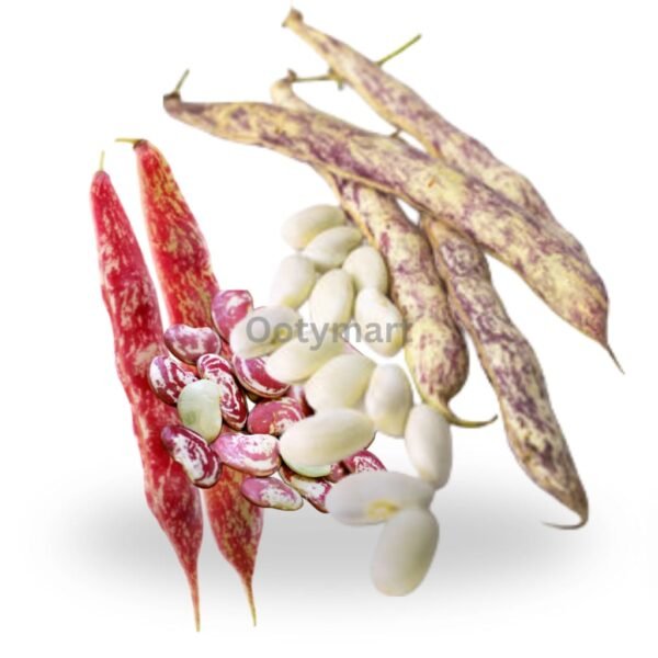 Ooty Butter Beans (Ooty Avarai) 250 grams