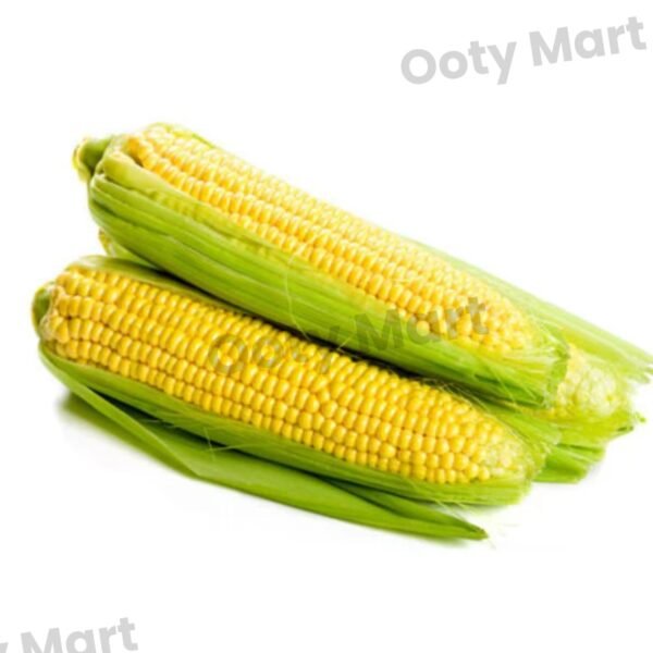 Sweet Corn 1 Piece