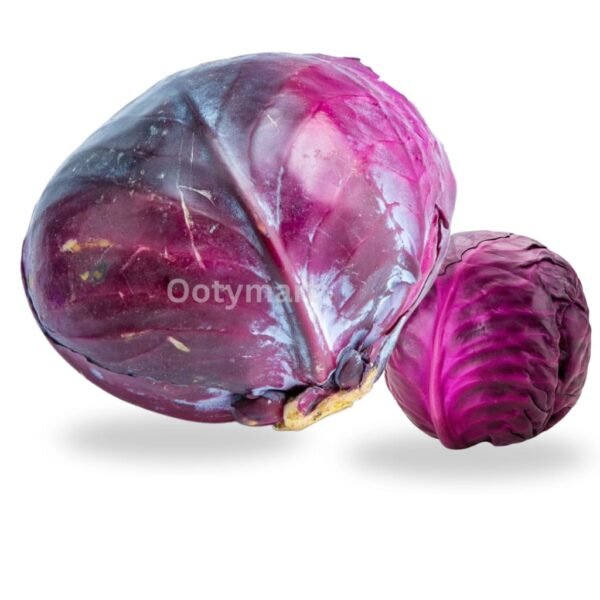 Red Cabbage 1 piece